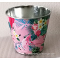 /msite/products/detail/productid/57243139/id/664361.html
